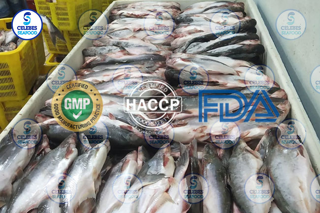 Foreign Trade of Seafood Industry's Concern